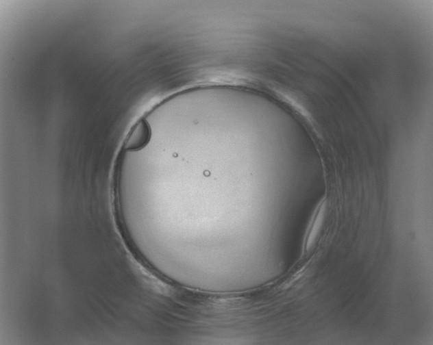 X0000062891471200601271635