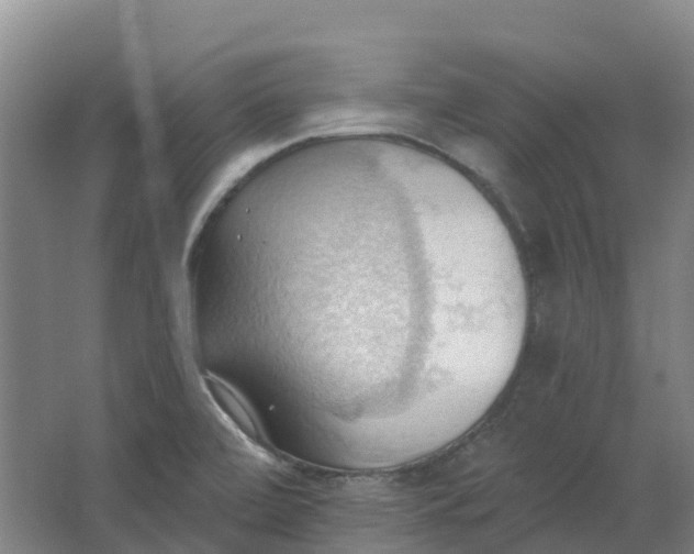 X0000062891472200601271635