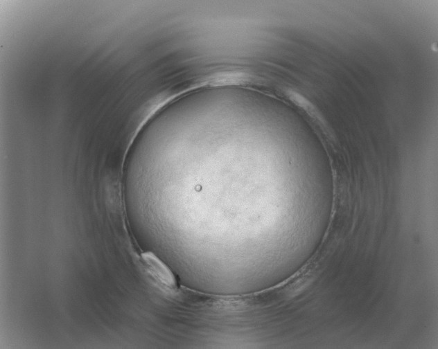 X0000062891473200601271635