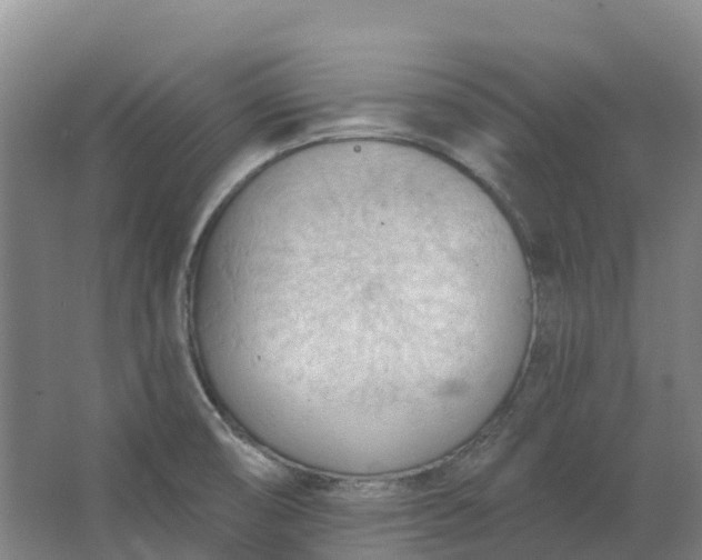 X0000062891474200601271635