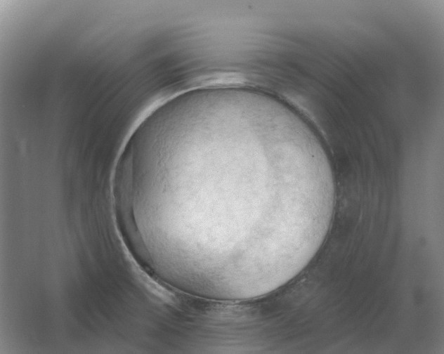 X0000062891475200601271635