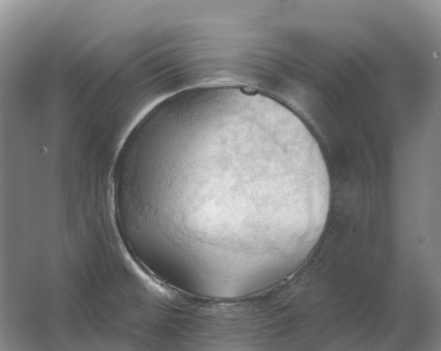 X0000062891476200601271635