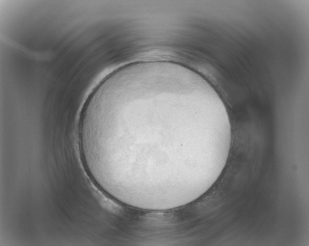 X0000062891478200601271635