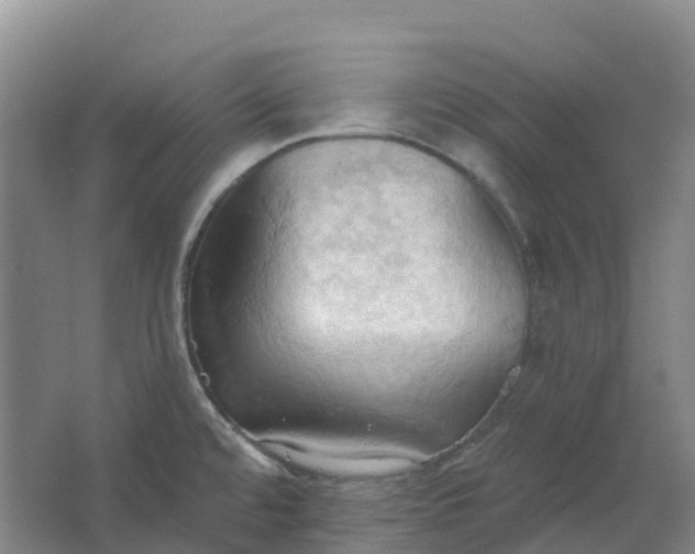 X0000062891480200601271635