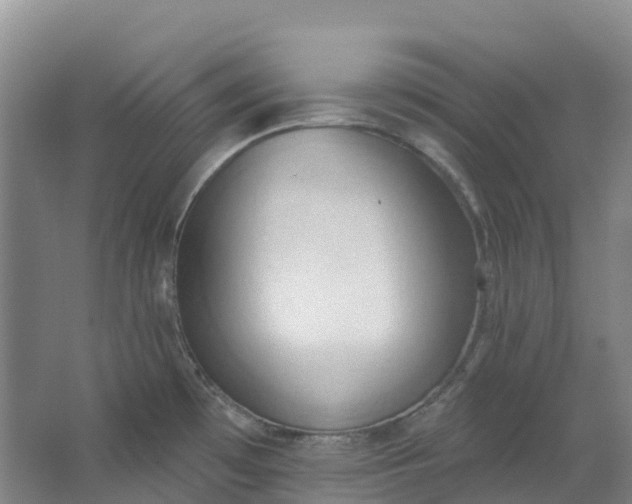 X0000062891481200601271635