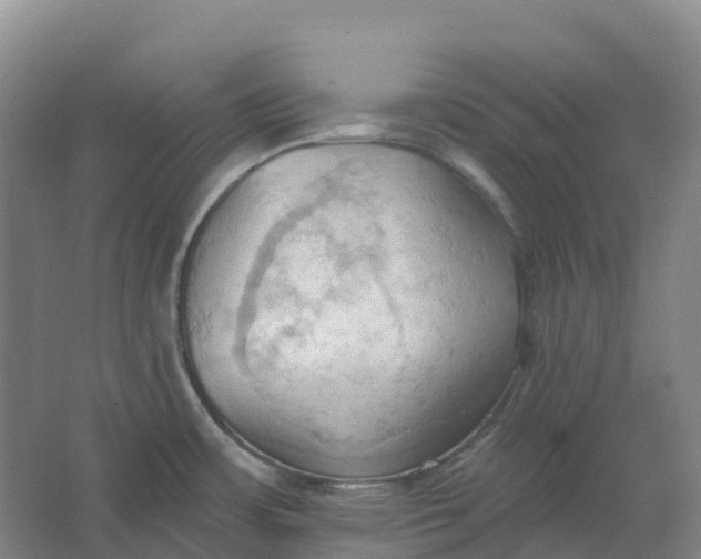 X0000062891483200601271635