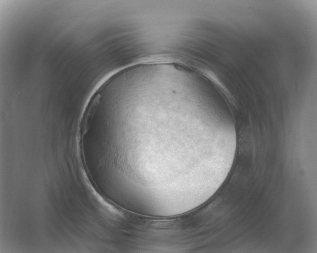 X0000062891484200601271635