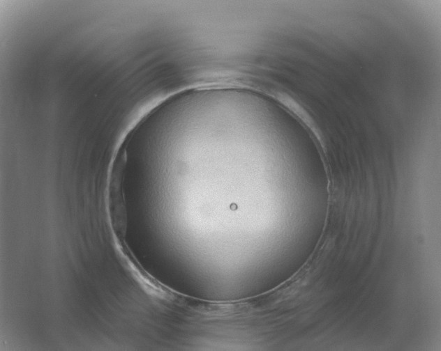 X0000062891485200601271635