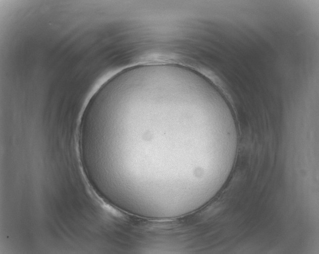 X0000062891486200601271635