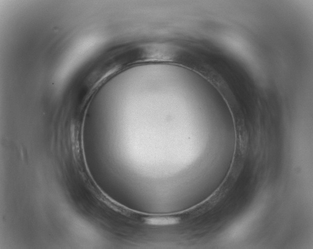 X0000062891487200601271635