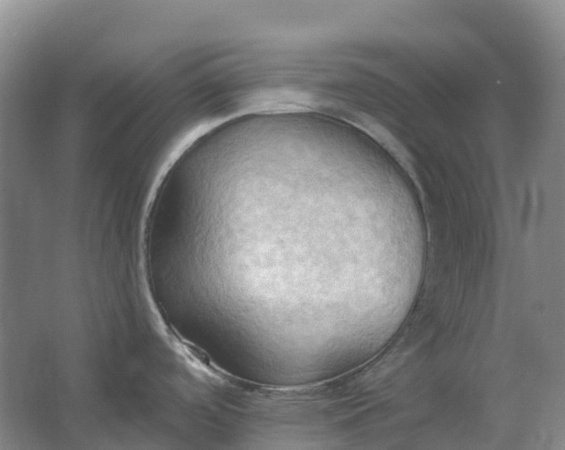 X0000062891488200601271635