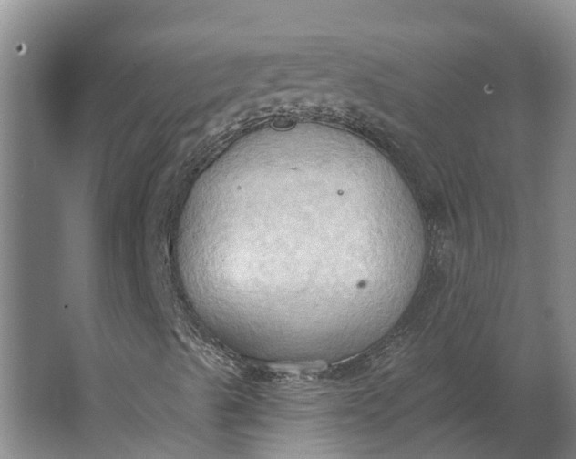 X0000062891489200601271634