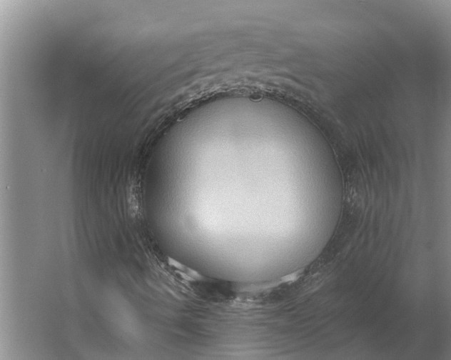 X0000062891490200601271634