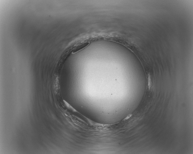 X0000062891492200601271634