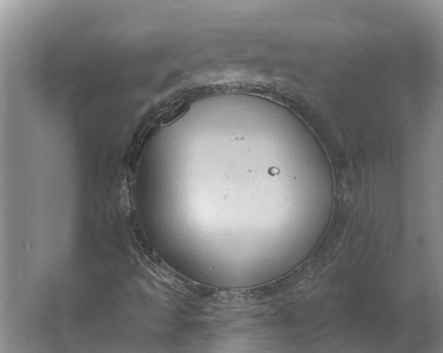 X0000062891493200601271634