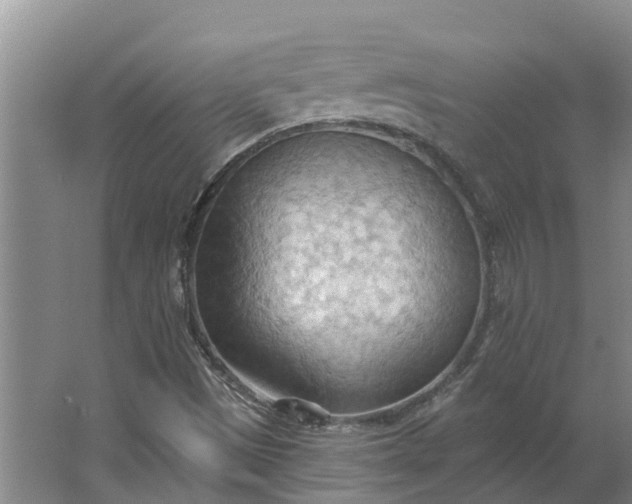 X0000062891497200601271634