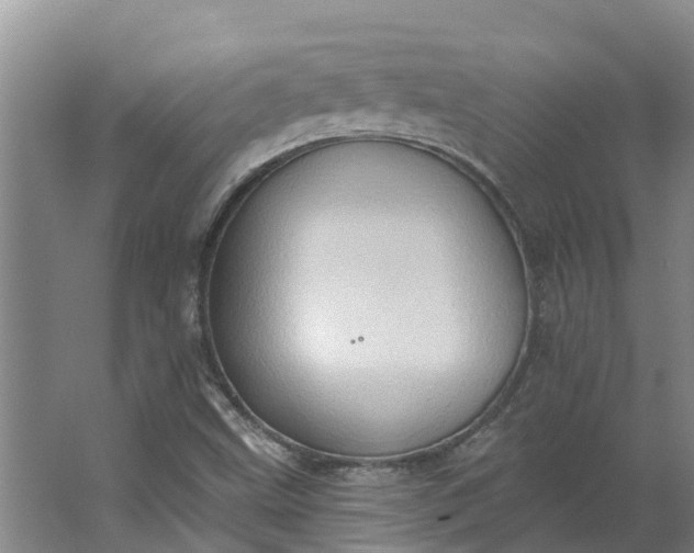 X0000062891499200601271634