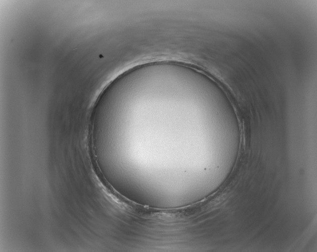 X0000062891500200601271634