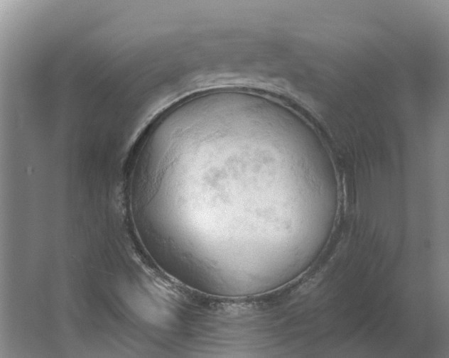 X0000062891501200601271634