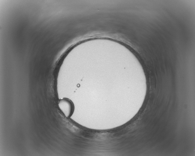 X0000062891502200601271634