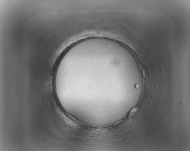 X0000062891503200601271634