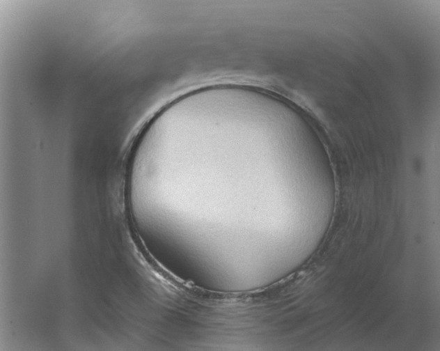 X0000062891504200601271634