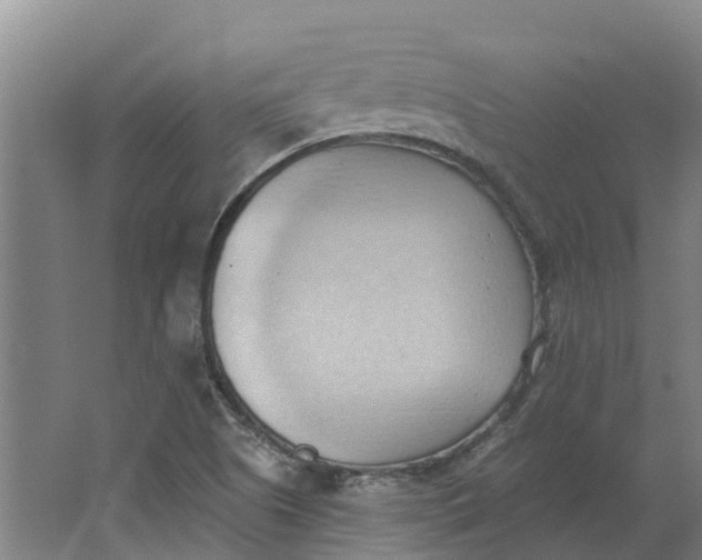 X0000062891505200601271634