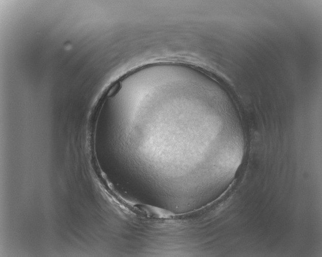 X0000062891506200601271634