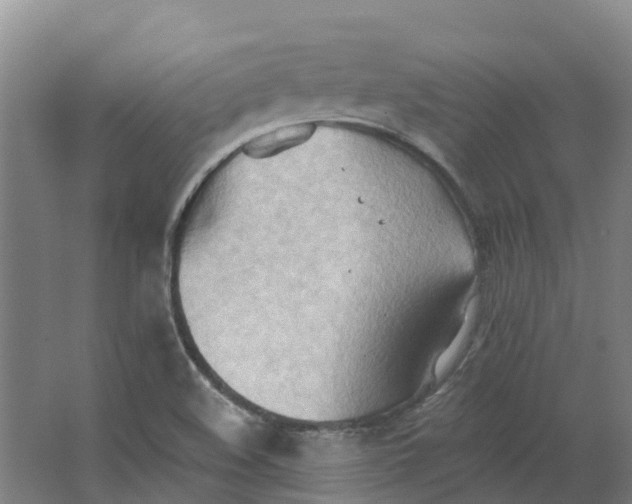 X0000062891508200601271634