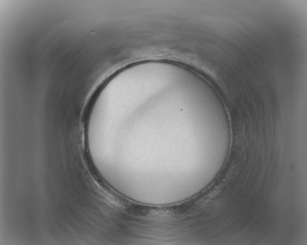 X0000062891509200601271634