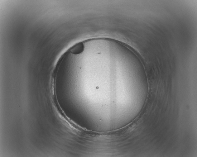 X0000062891510200601271634