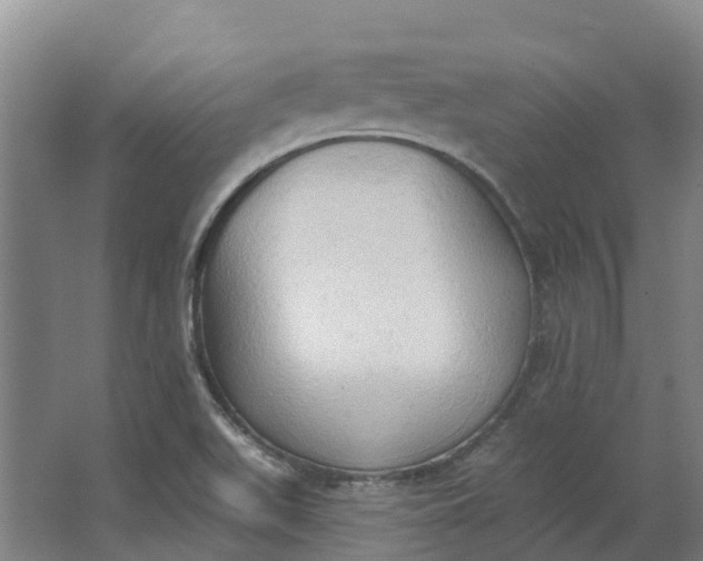 X0000062891511200601271634