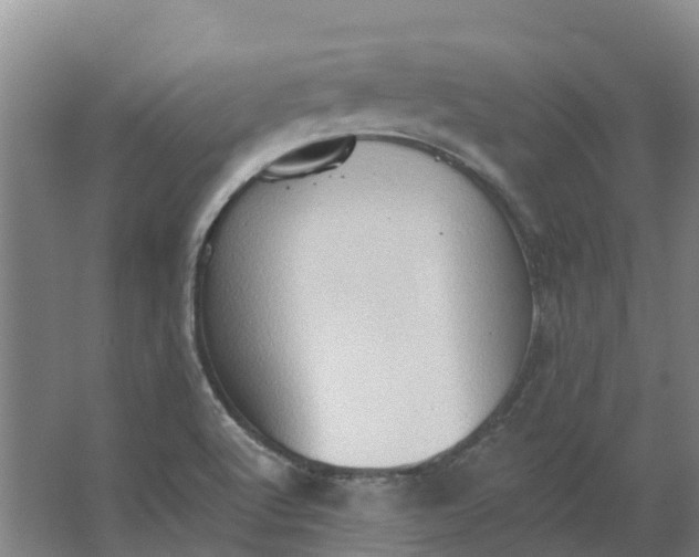 X0000062891512200601271634