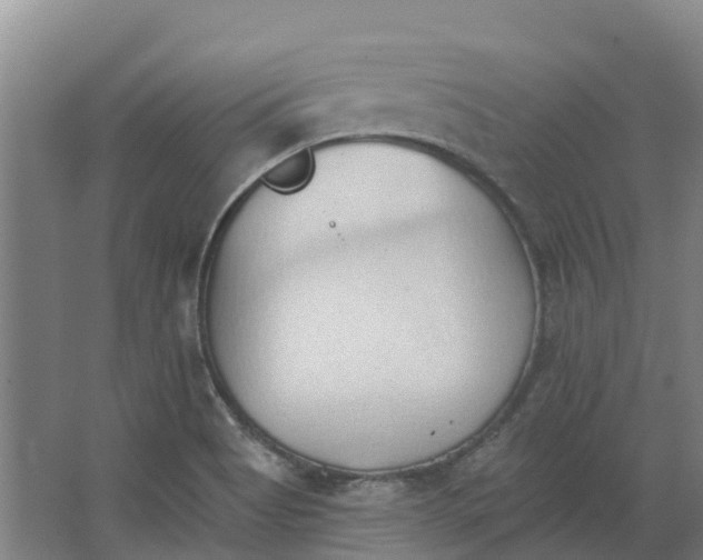 X0000062891513200601271634