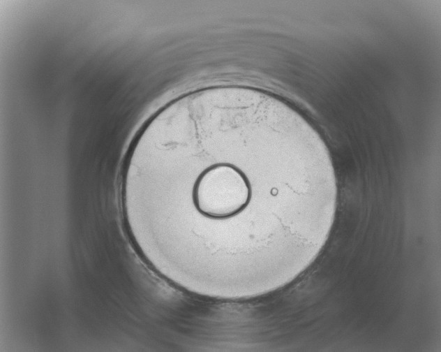 X0000062891514200601271634