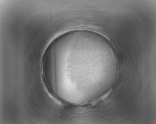 X0000062891515200601271634