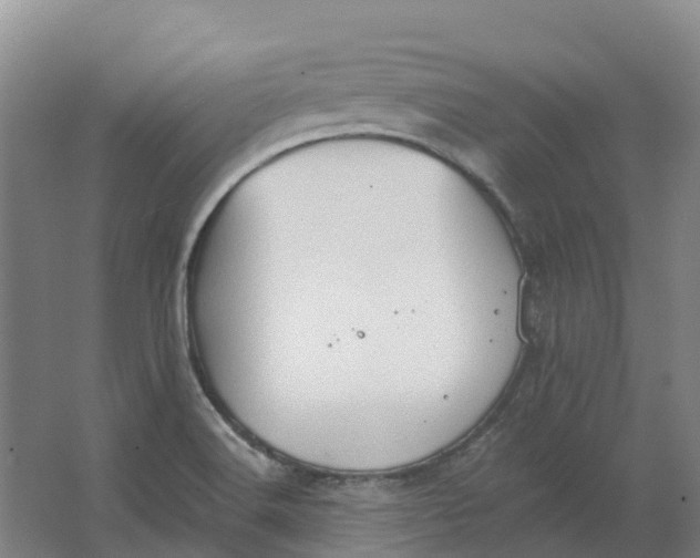 X0000062891516200601271634