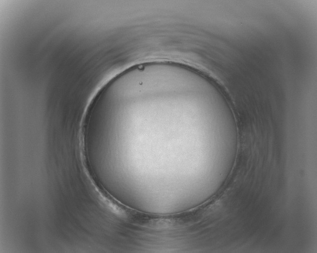 X0000062891517200601271634