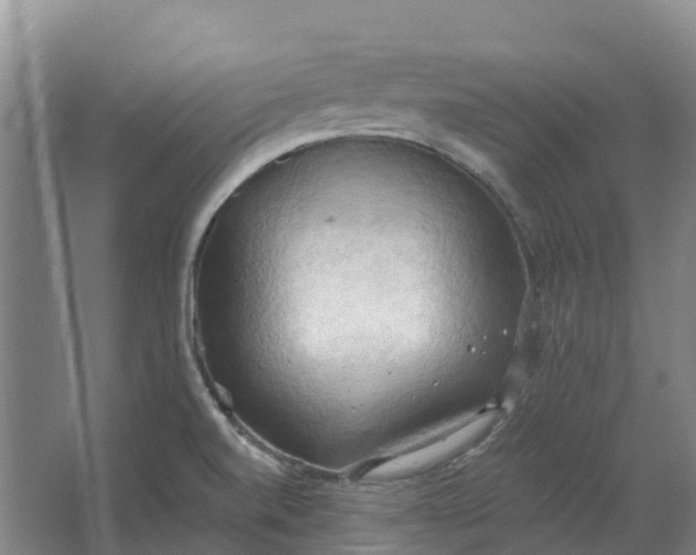 X0000062891520200601271634