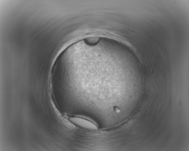 X0000062891522200601271634