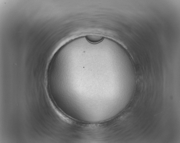 X0000062891523200601271634