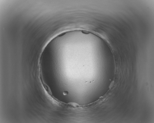 X0000062891524200601271634