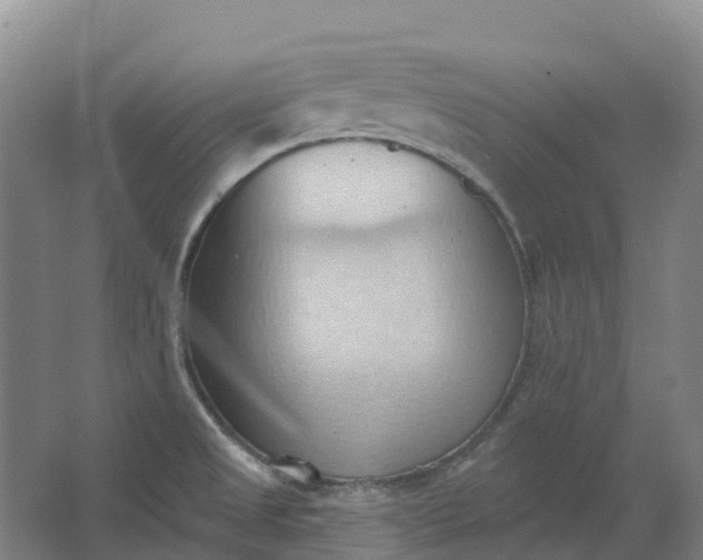 X0000062891525200601271634