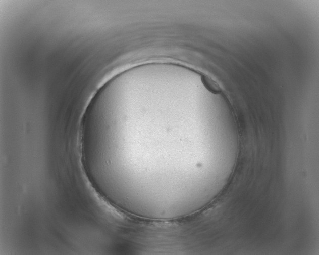 X0000062891526200601271634