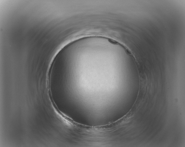 X0000062891527200601271634