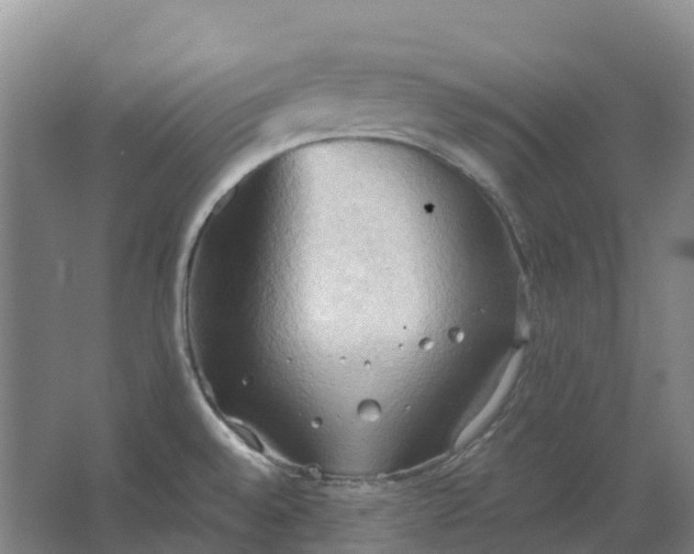 X0000062891528200601271634