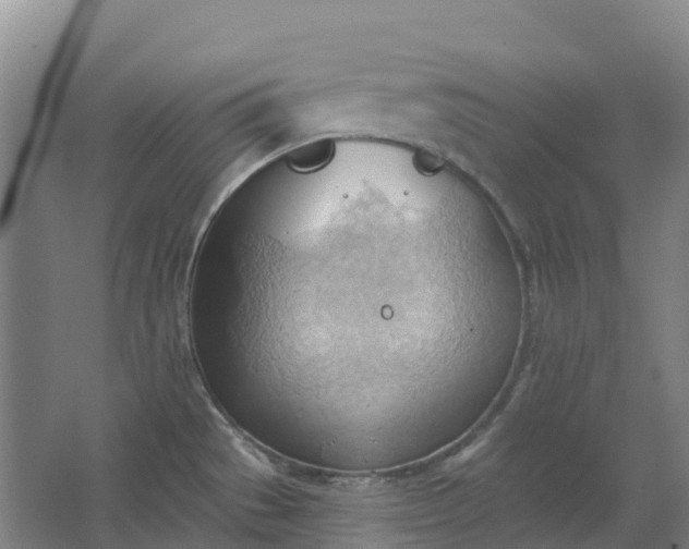 X0000062891529200601271634