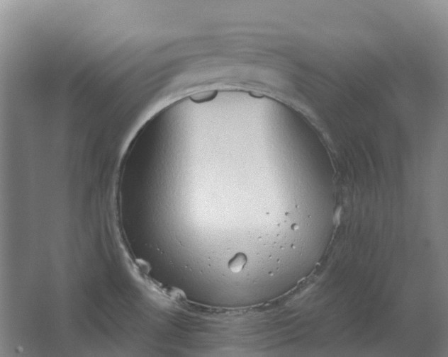 X0000062891530200601271634