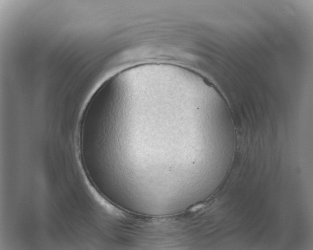 X0000062891531200601271634