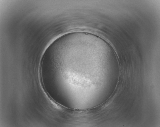 X0000062891533200601271634